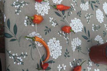 What a pretty death necklace