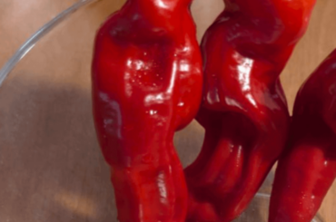 Any idea what this might be?