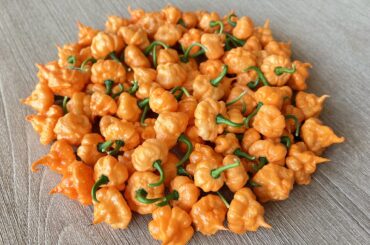 KS Peach Starrkist Harvest #1