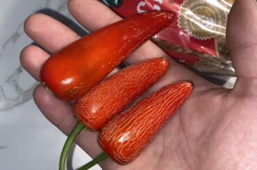 Question  about the lines