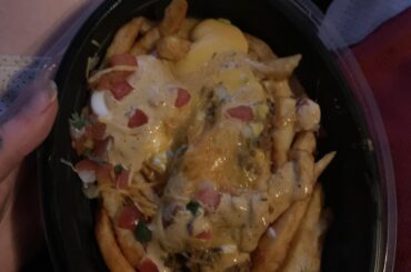 disregard my last nacho fries post holy fuck