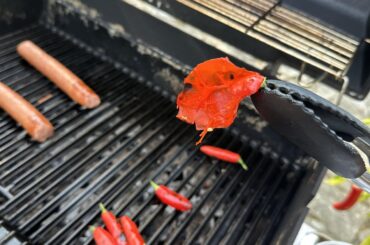 how many scovilles does it take to cause 1st degree burns?