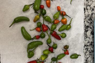 Got these at a Saturday market