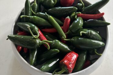 Overplanted!  Give me some ideas!