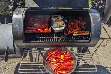 Smoking peppers and smoked stuffed jalapenos.