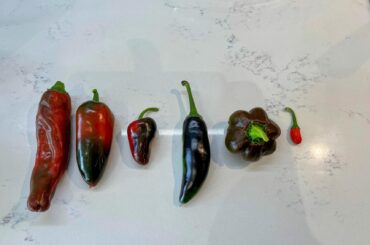 ID confirmation/help