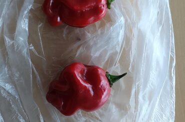 What kind of peppers might these be