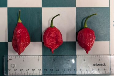 Pepper id request