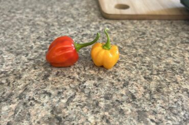 What’ve I got here?