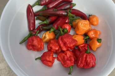 A few starting to come in