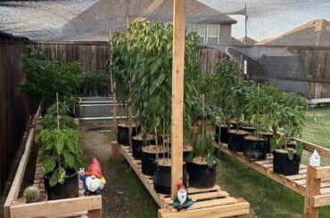 “Cool” weather incoming