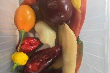 A workmate brought me in a great assortment!