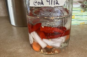 I have no idea what I’m doing