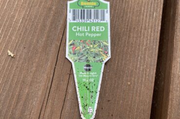 So what are these, tag name seems ambiguous, or is this named for an actual pepper called chili red?  They’re suddenly ripening like crazy.