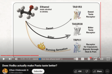 Random thought while watching this video...does eating hotter sauces and developing that palate potentially make drinking alcohol straight or "neat" more tolerable/enjoyable if they're activating some of the same receptors?