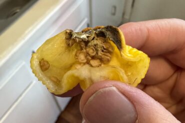 Are these okay to use for hot sauce?