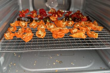 Wonder how many people in here can smell this photo