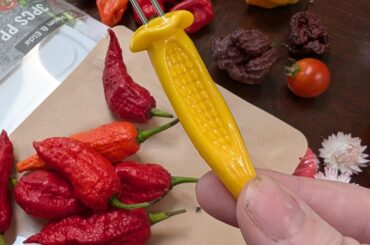 A pepper dehydrators bestie!