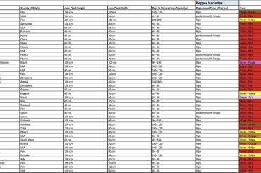 Which of these varieties should I grow next year? These are the seeds I already got at home. Can only grow about 10 though.