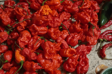 this gonna burn my butt.... lol