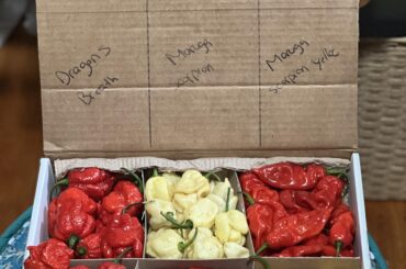 Thirsty to create super hot sauces!