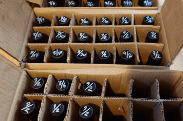 How's was everyone else's summer?