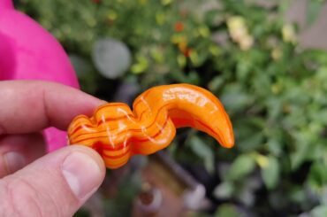 I hope there aren't too many Sugar Rush Peach Stripey posts already