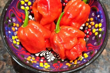 Trinidad Scorpions