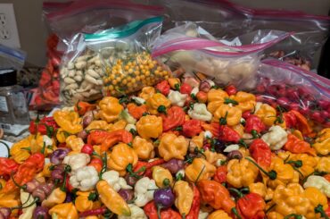 Need some ideas for preserving these