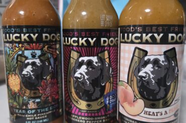 Lucky dog for the win