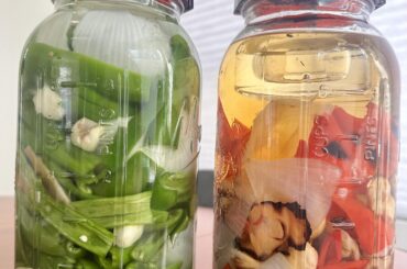 Entering the fermentation game.  Would love some advice