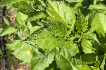 Should I be worried?