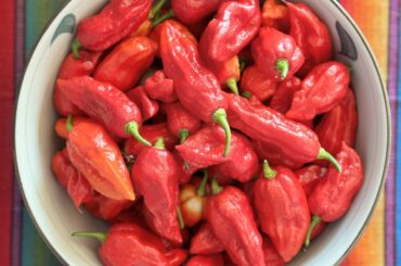 Fruit salad at my place?