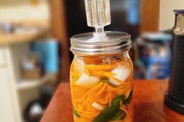 Started fermenting peppers for hot sauce