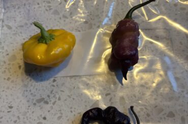 Pepper ID please