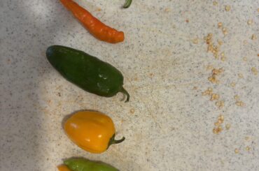 Help identifying these?