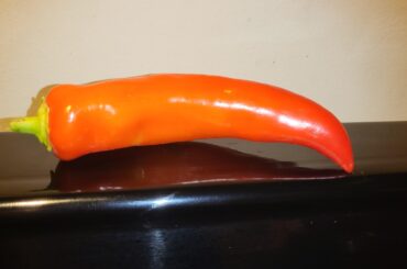 First ripe Pepper off my two plants.