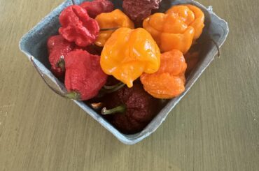 Farmers market pint of peppers