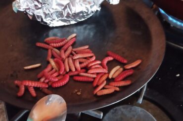 This is considered a delicacy where I'm from.