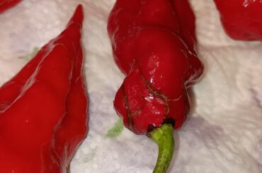 Is this ok to use/eat?