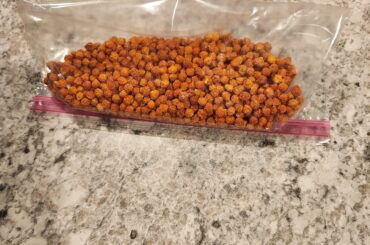 Update on the charapitas