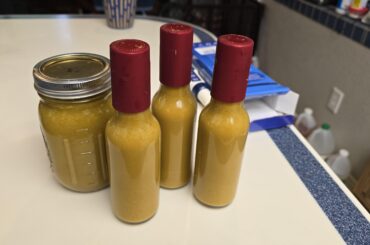 Made my first frmebted sauce. It's not as good as I would have hopped. Share your tips with me!