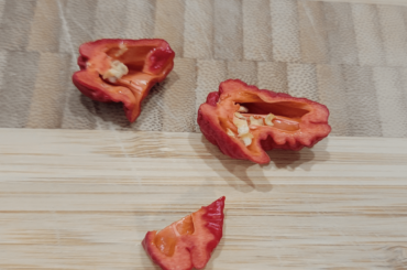 8 months ago, I started enjoying spicy food for the first time. Last night, I tried my first slice of Reaper