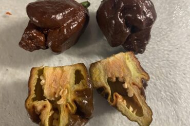 Chocolate Scorpions are finally ready!