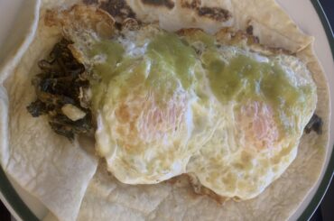 My current favorite breakfast: verdolagas guisadas, tortilla de harina, and two huevos fritos.  Simple but so good.