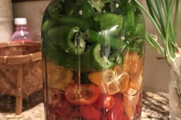 Fermenting all 8 pepper types I have in my garden for a hot sauce.