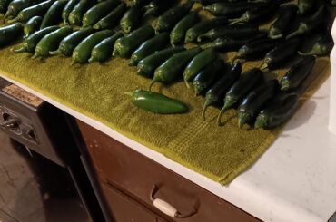 Peppers, hum good. HOT