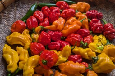 Love this time of year