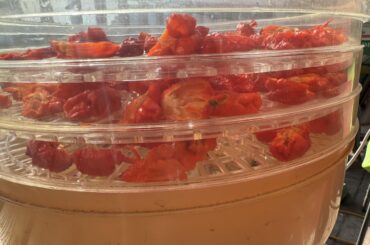 Had to put these outside to dry to not gas the house, but it’s still seeping in.