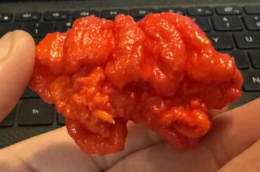 Found a conjoined twin in my reapers.